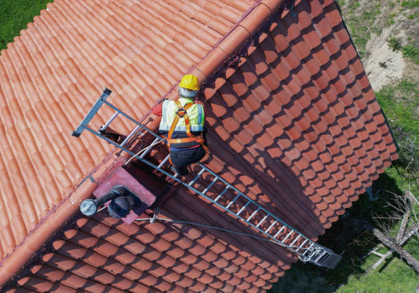 Best Roof Moss and Algae Removal  in Palatine, IL