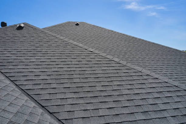 Best Roof Maintenance and Cleaning  in Palatine, IL